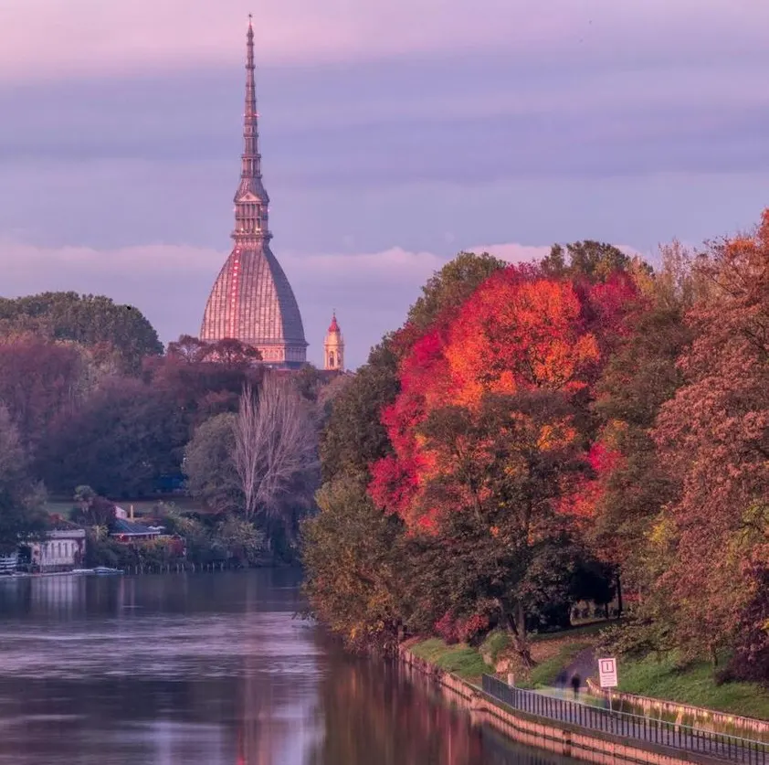 La Mole Antonelliana vista dal Po, tra gli alberi d’autunno